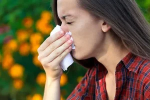 Summer Allergens Have Me Sneezing