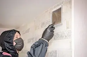 pros of duct cleaning edwardsville illinois