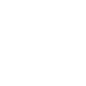 RUUD-logo-white-300x194